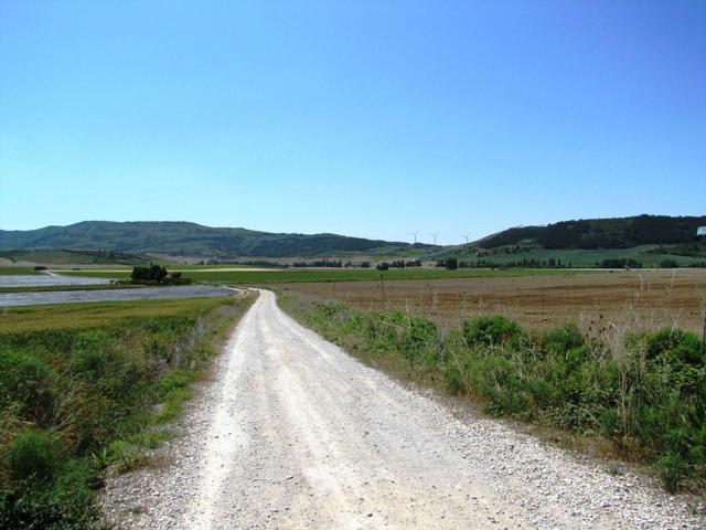 der normale Weg würde direkt nach Obanos führen. Wir wollen aber unbedingt zur Ermita Santa Maria de Eunate