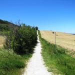 auf dem Weg nach Obanos. Dort wollen wir die Mittagspause einlegen