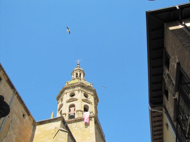 Höhepunkt Nr.6 auf dem Kirchturm der Santiago Kirche, haben einige Störche Nester gebaut