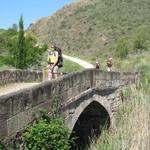 Mäusi auf der mittelalterlichen Brücke über den Río Salado