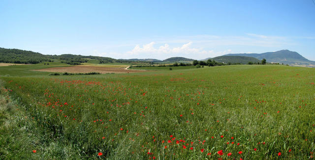 Breitbildfoto auf dem Weg zwischen Lorca und Villatuerta