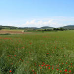 Breitbildfoto auf dem Weg zwischen Lorca und Villatuerta