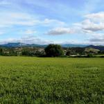 sehr schönes Breitbildfoto auf dem Weg nach Villamayor de Monjardin