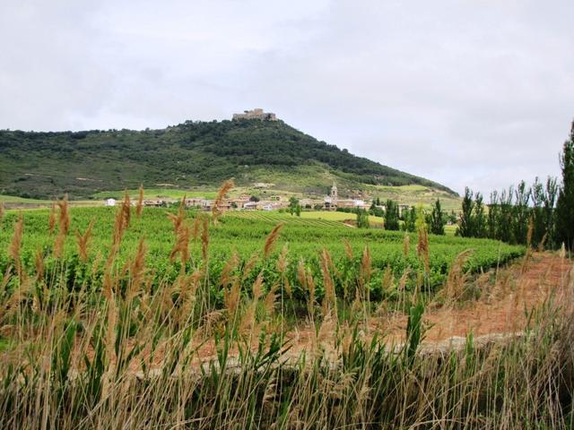  Villamayor de Monjardin mit Pico de Monjardin 