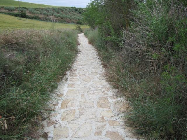 über diesen Pfad liefen wir runter nach Torres del Río