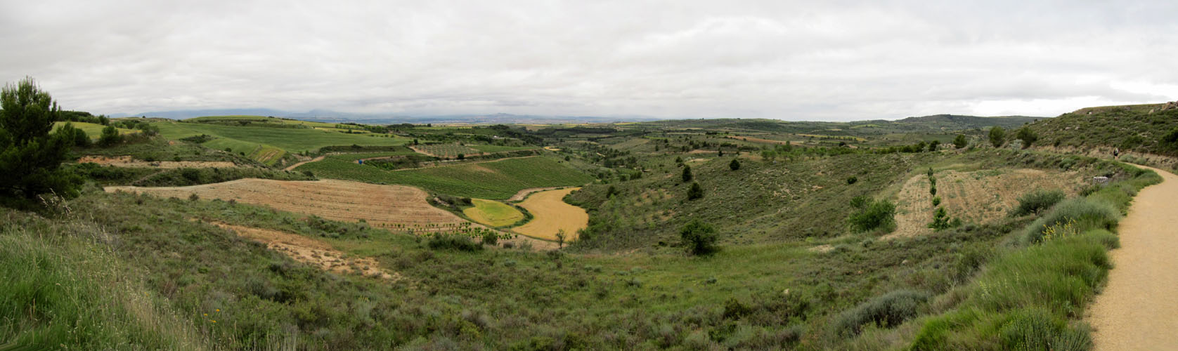 Breitbildfoto Landschaft zwischen Torres del Rio und Viana