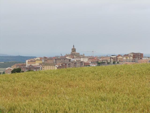 Viana taucht am Horizont auf. Noch heute trägt Spaniens Thronfolger Prinz Felipe den Titel Fürst von Viana