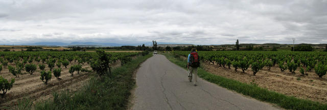 Breitbildfoto. Mäusi überschreitet die Grenze von Navarra und Rioja