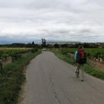 Breitbildfoto. Mäusi überschreitet die Grenze von Navarra und Rioja
