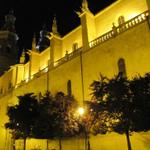 die Kathedrale Santa María de la Redonda in der Nacht