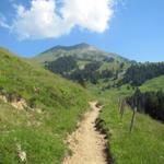 Bergwanderung Frutigen - Niesen 28.6.2011