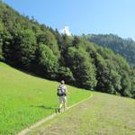 bei Winklen 819 m.ü.M führt der Weg im Wald