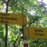 Wegweiser im Wald. Erstes Ziel Eggweid