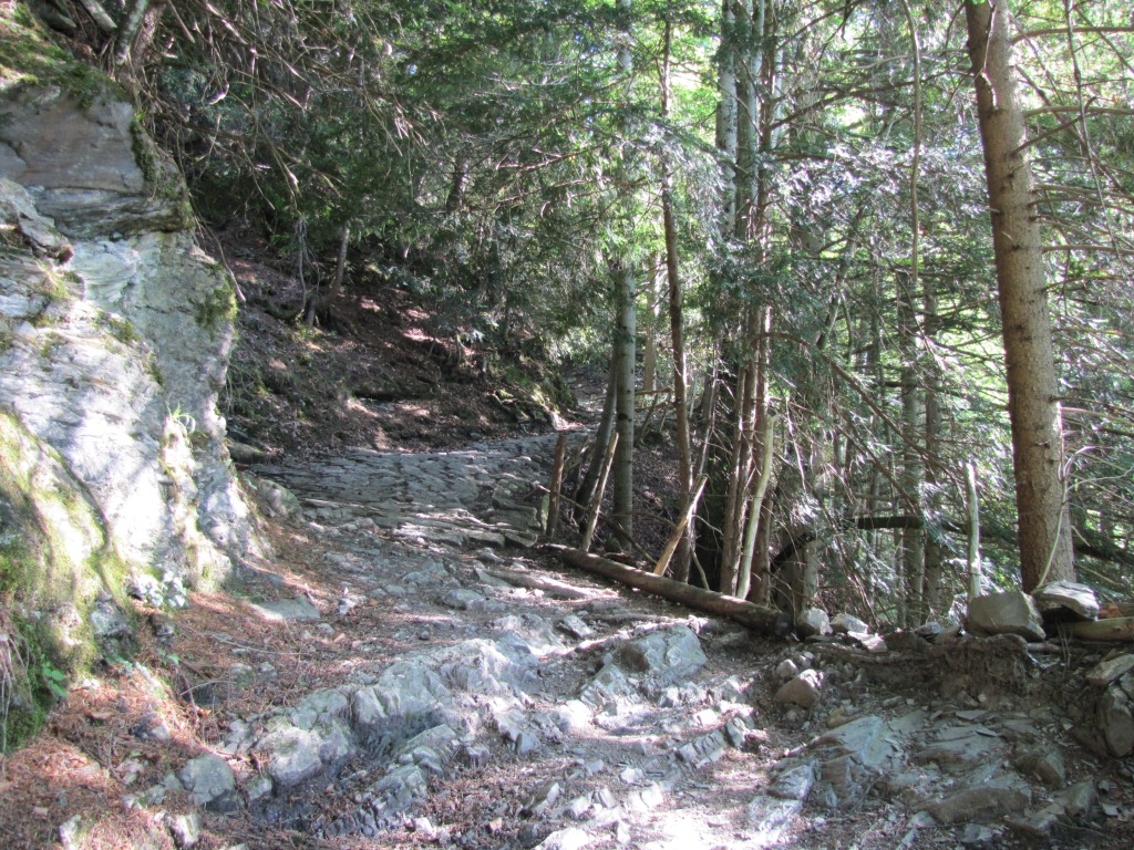 steil geht es im Wald aufwärts