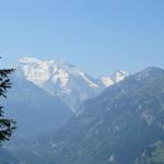 Blick zum Balmhorn und Altels