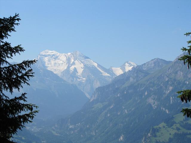 Blick zum Balmhorn und Altels