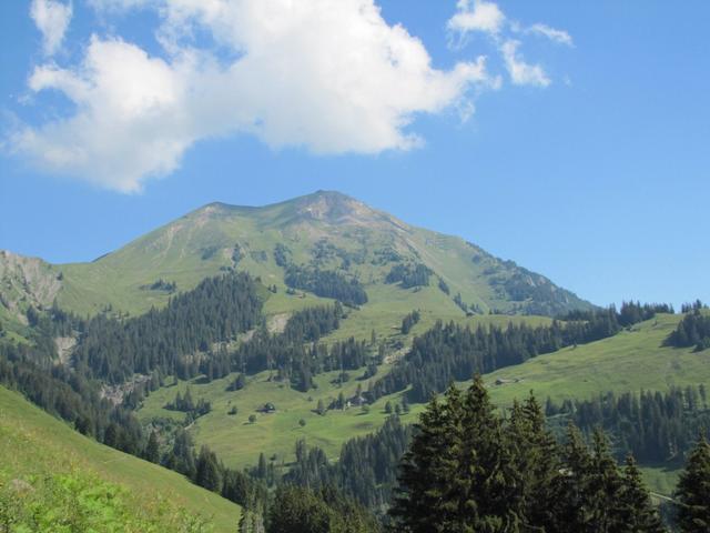 plötzlich taucht vor uns der Niesen auf