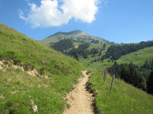 wir haben die Eggweid verlassen und wandern weiter Richtung Niesen