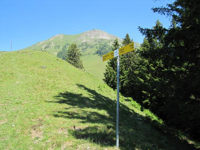 Wegweiser bei Unterniesen 1580 m.ü.M.