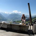 Mäusi erfrischt sich bei einem Brunnen auf der Alp Unterniesen