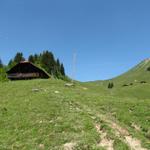 weiter führt uns der gut bezeichnete Wanderweg nach Alp Oberniesen