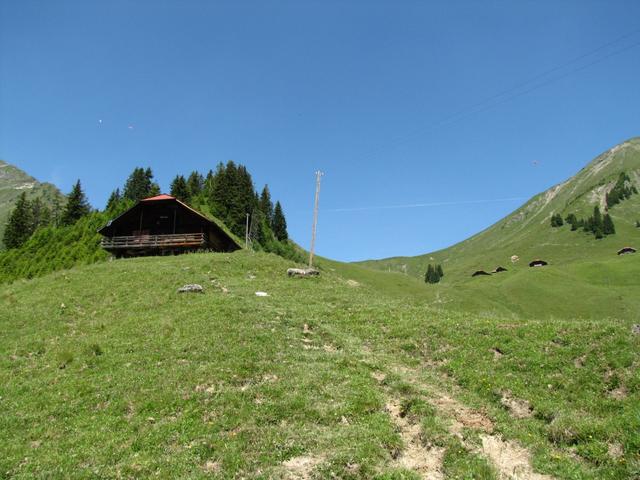 weiter führt uns der gut bezeichnete Wanderweg nach Alp Oberniesen