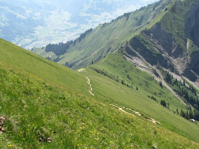 Blick runter zum Niesengrat. Von dort sind wir gekommen