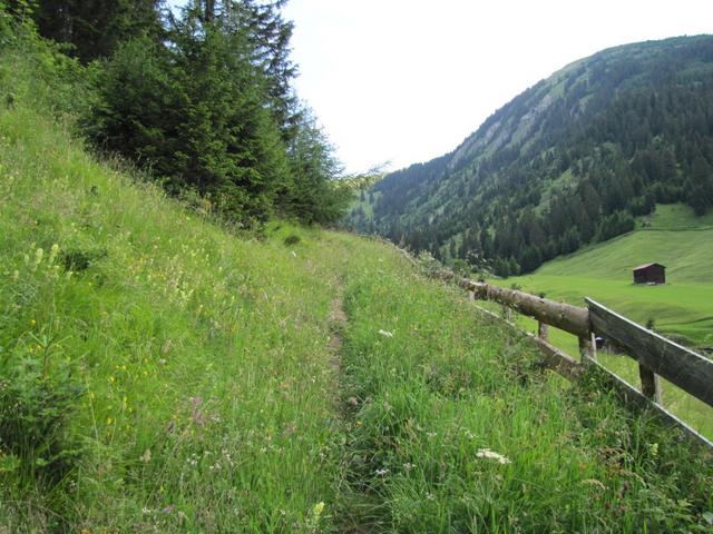 bei ober Wis kurz nach Langwies auf dem Weg ins Fondei Tal