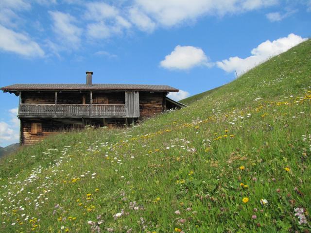 das ganze Fondeiertal ist im Frühling ein Blumenmeer