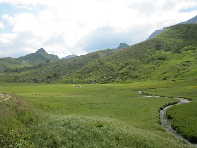 wir haben die Hochebene von Barga Boden auf 1994 m.ü.M. erreicht