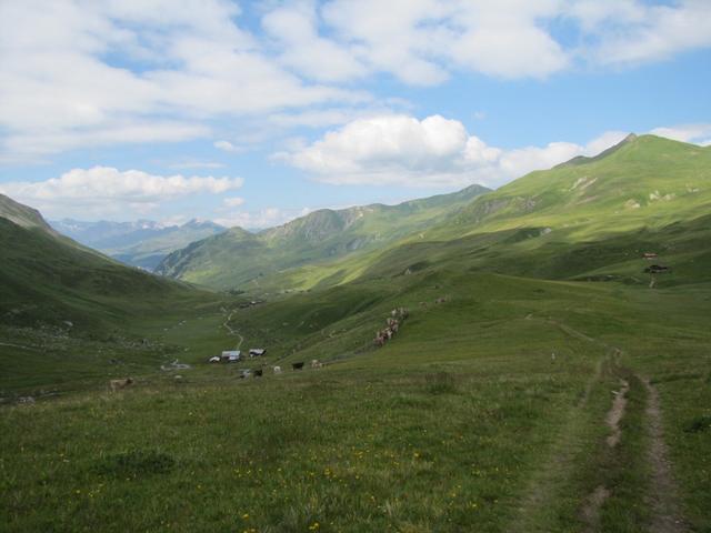 Blick zurück ins schöne Hochtal von Fondei