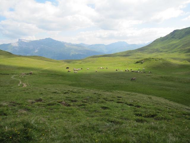 auf Gauderböden 2072 m.ü.M.