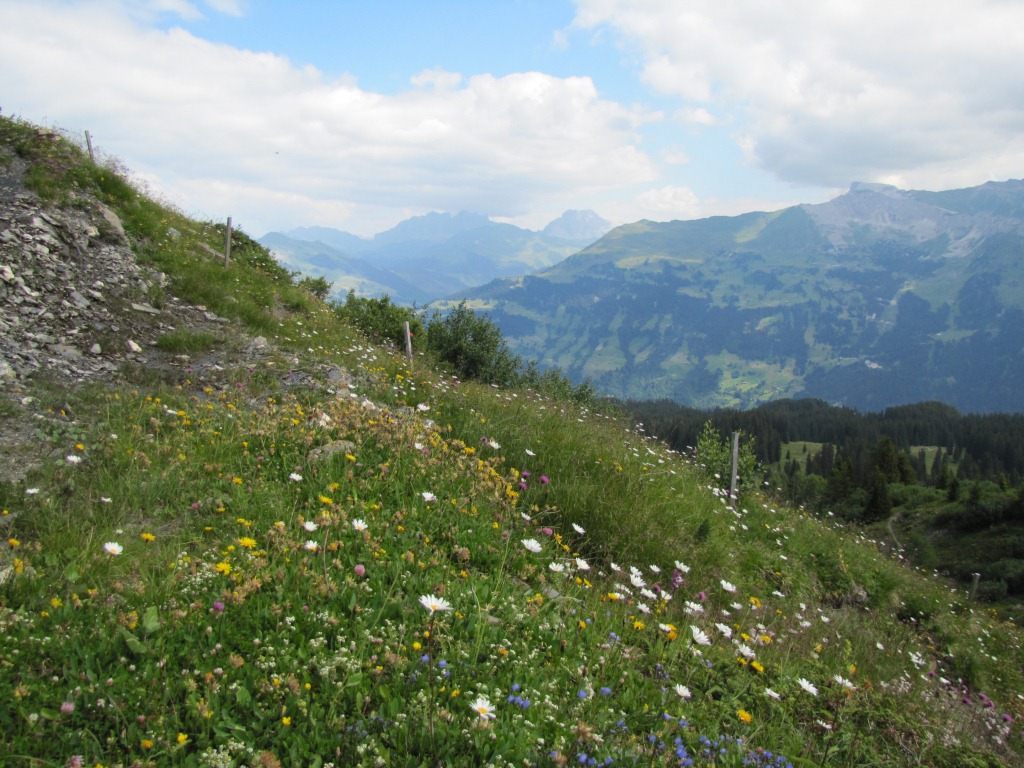 Das Fondeiertal ist bekannt wegen seiner Blumenpracht