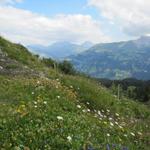 Das Fondeiertal ist bekannt wegen seiner Blumenpracht