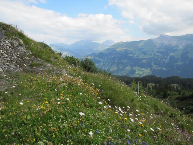 Das Fondeiertal ist bekannt wegen seiner Blumenpracht