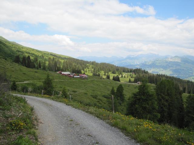 kurz vor Alp Untersäss 1869 m.ü.M.