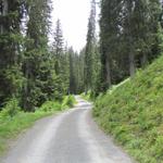 wir haben Schifer verlassen und laufen nun runter nach Klosters