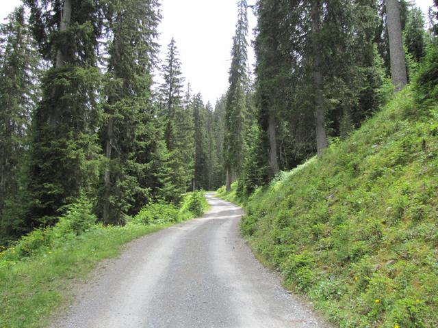 wir haben Schifer verlassen und laufen nun runter nach Klosters