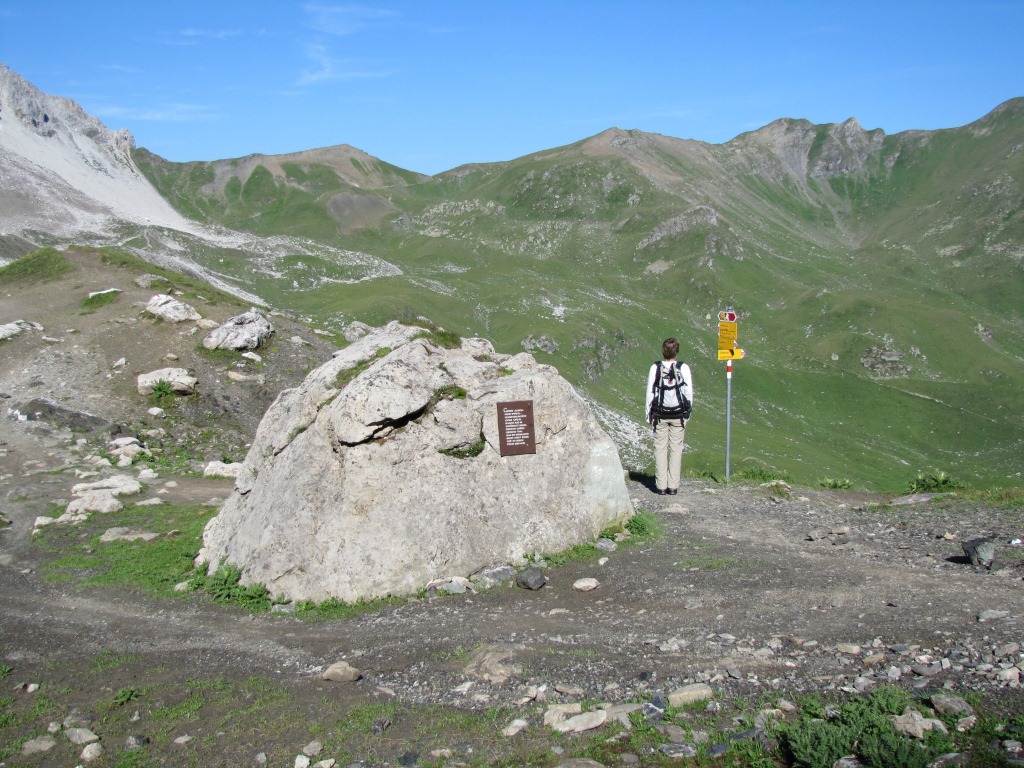 Mäusi bei Wegverzweigung Punkt 2460 m.ü.M.