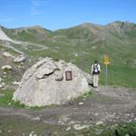 Mäusi bei Wegverzweigung Punkt 2460 m.ü.M.