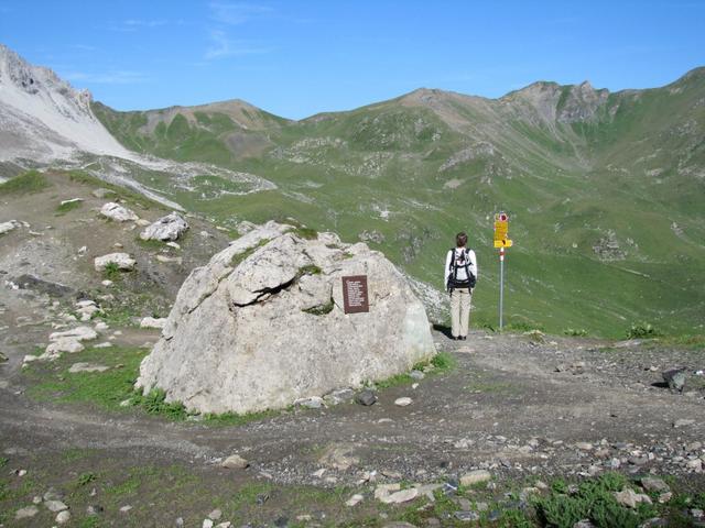 Mäusi bei Wegverzweigung Punkt 2460 m.ü.M.