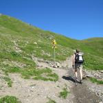 Mäusi hat Wegverzweigung bei Punkt 2476 m.ü.M. erreicht. Rechts führt der Weg zum Urdenfürggli