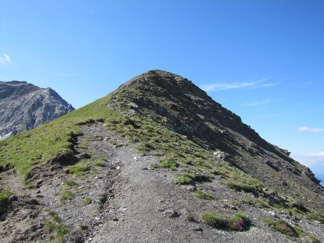 vom Urdenfürggli führt ein Bergpfad am Grat entlang zu Punkt 2592 m.ü.M.