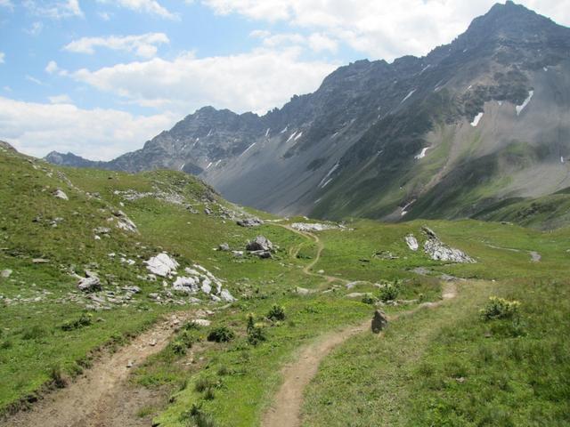 bei Schafälpli, weideten tatsächlich Schafe