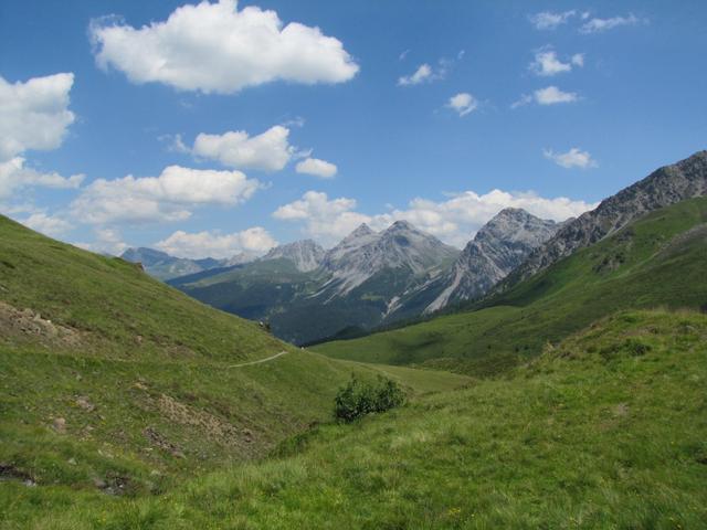 auf der Aroser Alp, kurz vor dem Berggasthaus Alpenblick