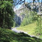 Blick zurück zum Wasserfall