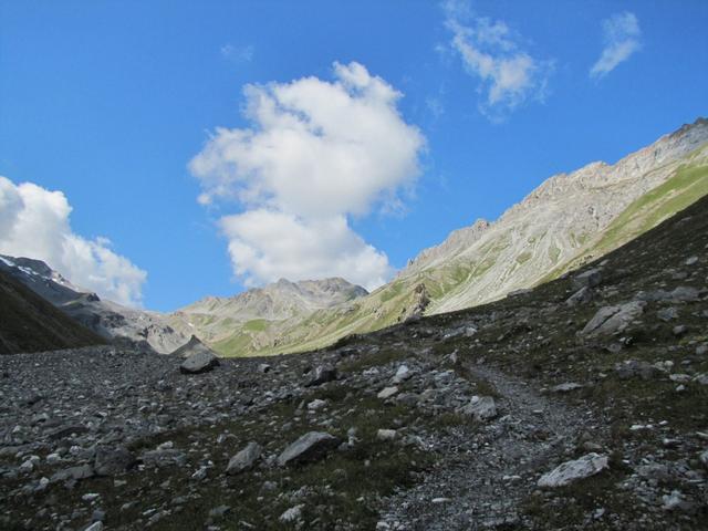 moderat ansteigend laufen wir durch das Ducantal