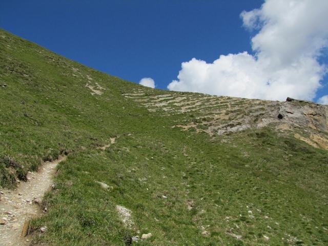 um diese kleine Schlucht zu umgehen, macht der Wanderweg einen kleinen Bogen