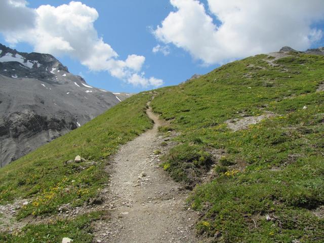 der Wanderweg ist immer ersichtlich und gut erstellt