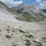 Blick zurück zur Fanezfurgga, Strel und zuhinterst der Älplihorn